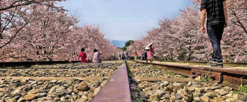 1 おっさんの留学意義ってなんだろう 1 留学でおっさんが失うもの アラフォーから始める留学 仮 Kazu Kanazawa Note