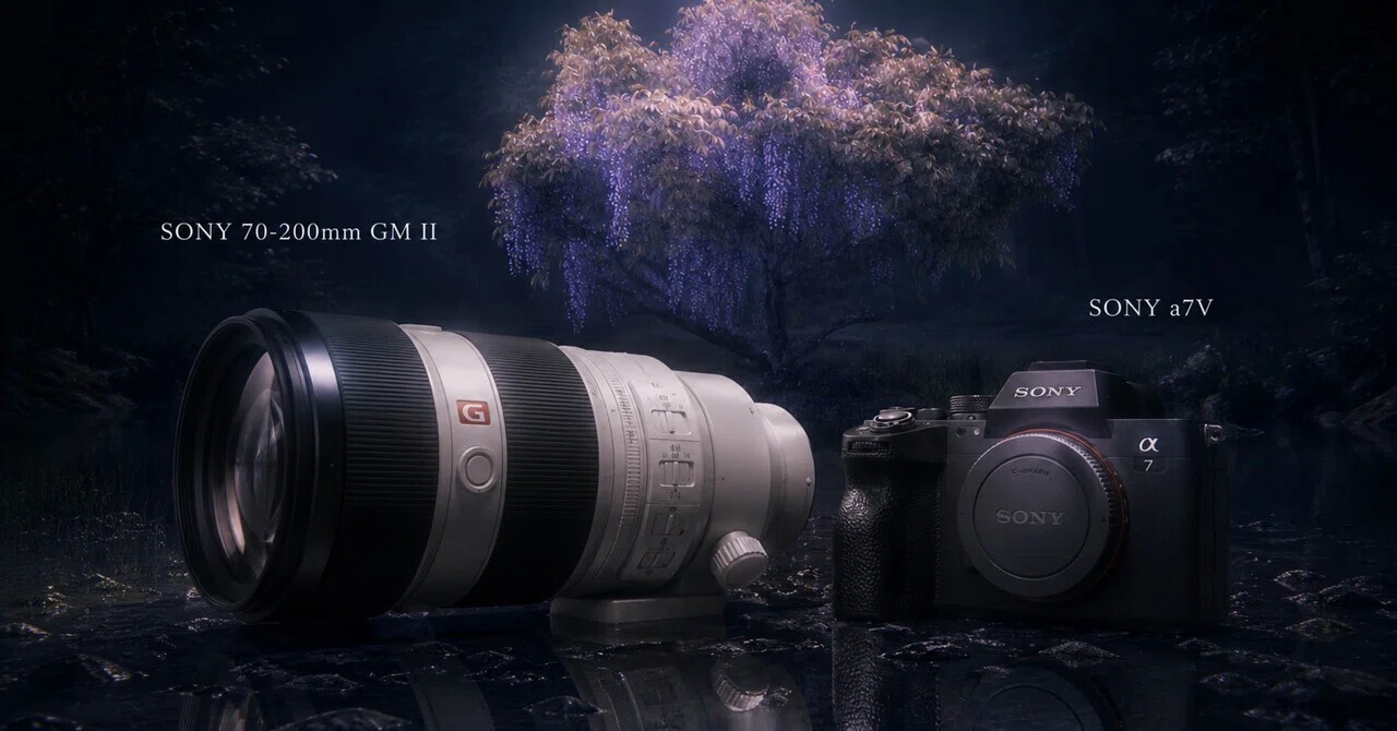 暗闇の中で藤が浮かび上がった日。SONY a7Vと70-200mm GM IIに感謝し 