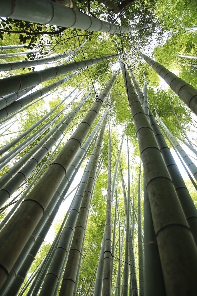 今日の鎌倉｜MARKO