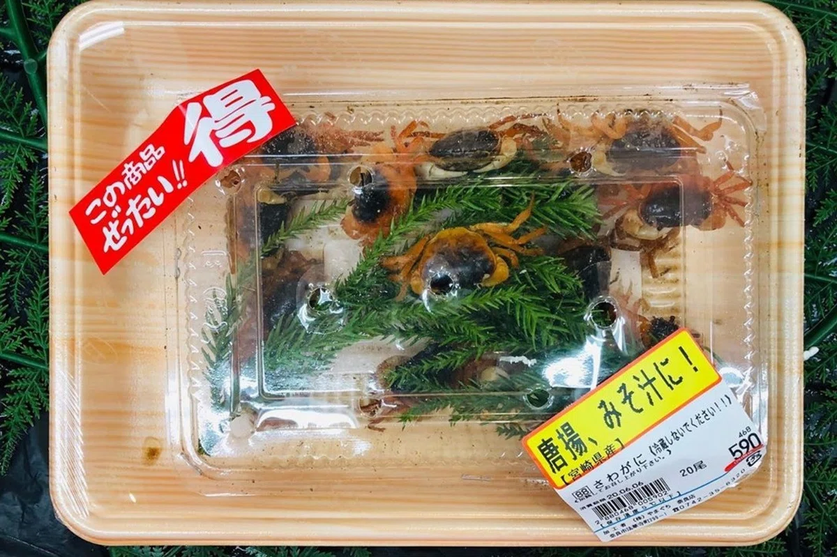 画像4