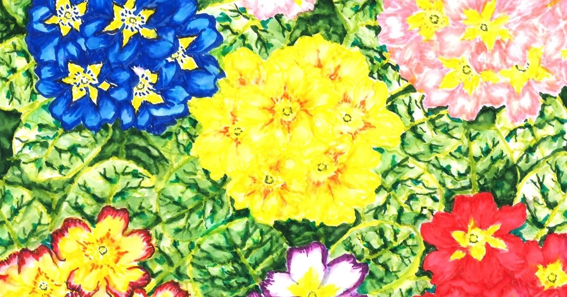 脊髄損傷の私が花を描く理由。｜さとみ