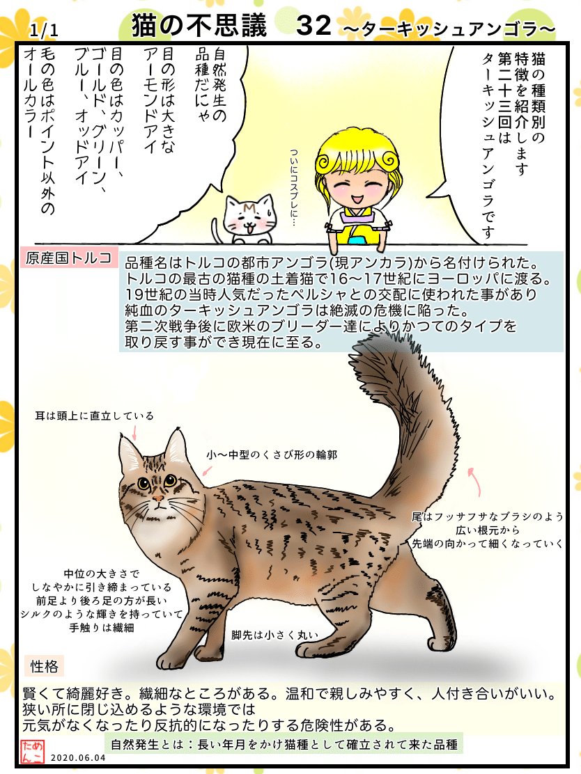 猫の不思議32 ターキッシュアンゴラ めこたん 漫画 イラスト Note