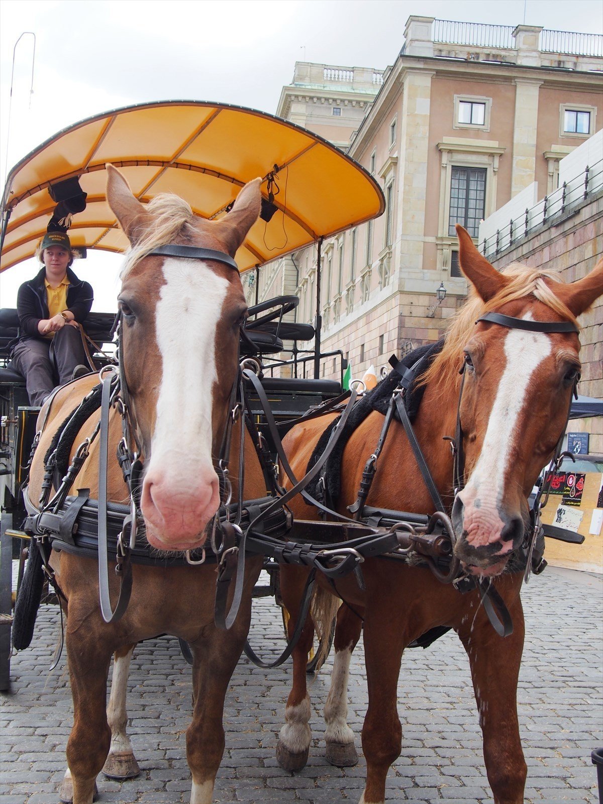 魔女の宅急便 の聖地 スウェーデン ガムラスタン ２ すぴー Note