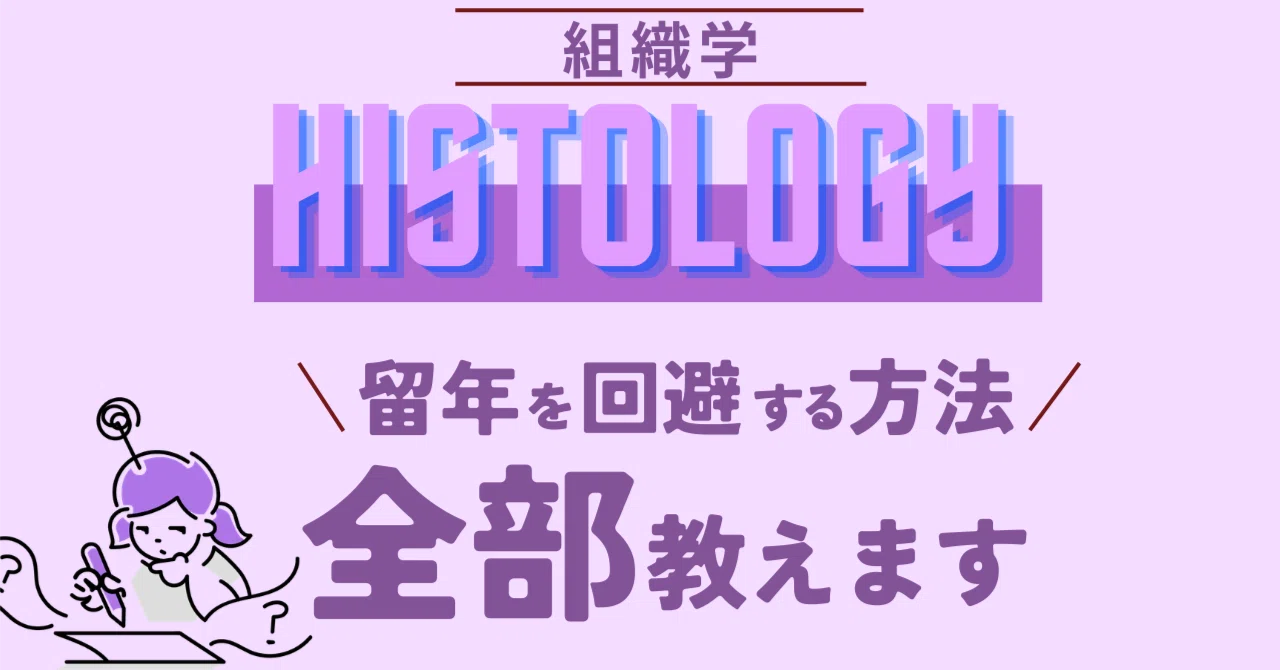 Histology（組織学）～海外医学部を６年で卒業～ ハンガリー医学部】1番の留年科目 解剖学(組織学)の完全攻略法①解説