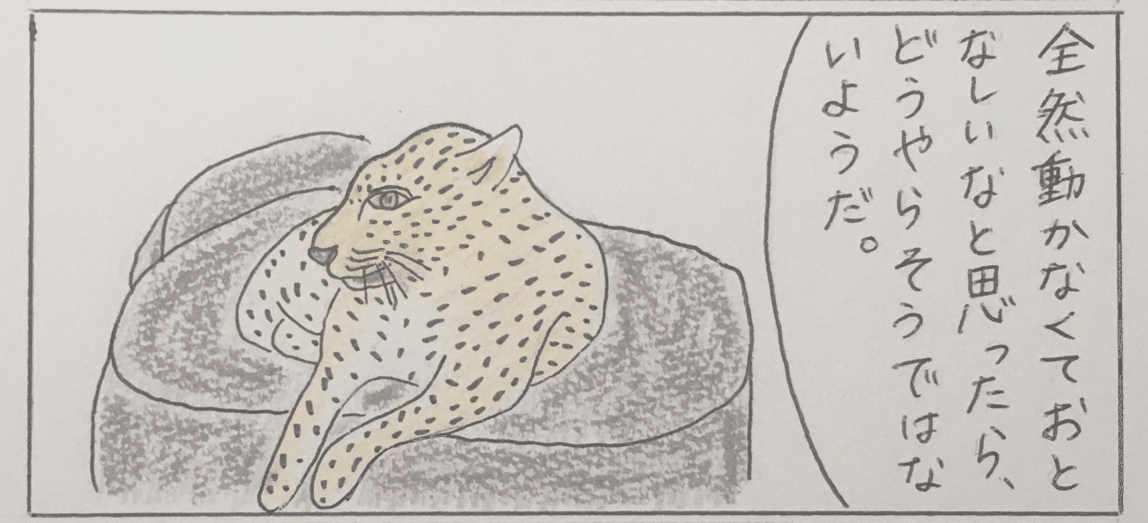 動物マンガ 24話 福岡市動物園 ヒョウ ユミーのエスパー日記 Note