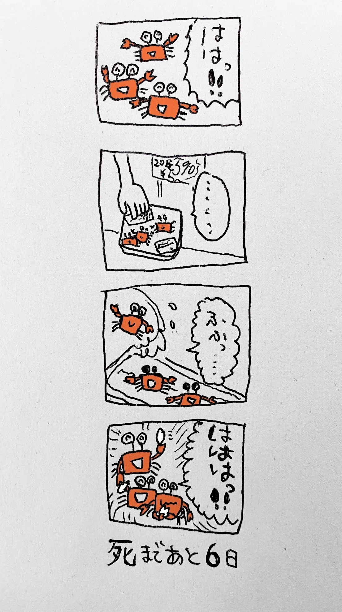 画像7