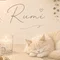 Rumi