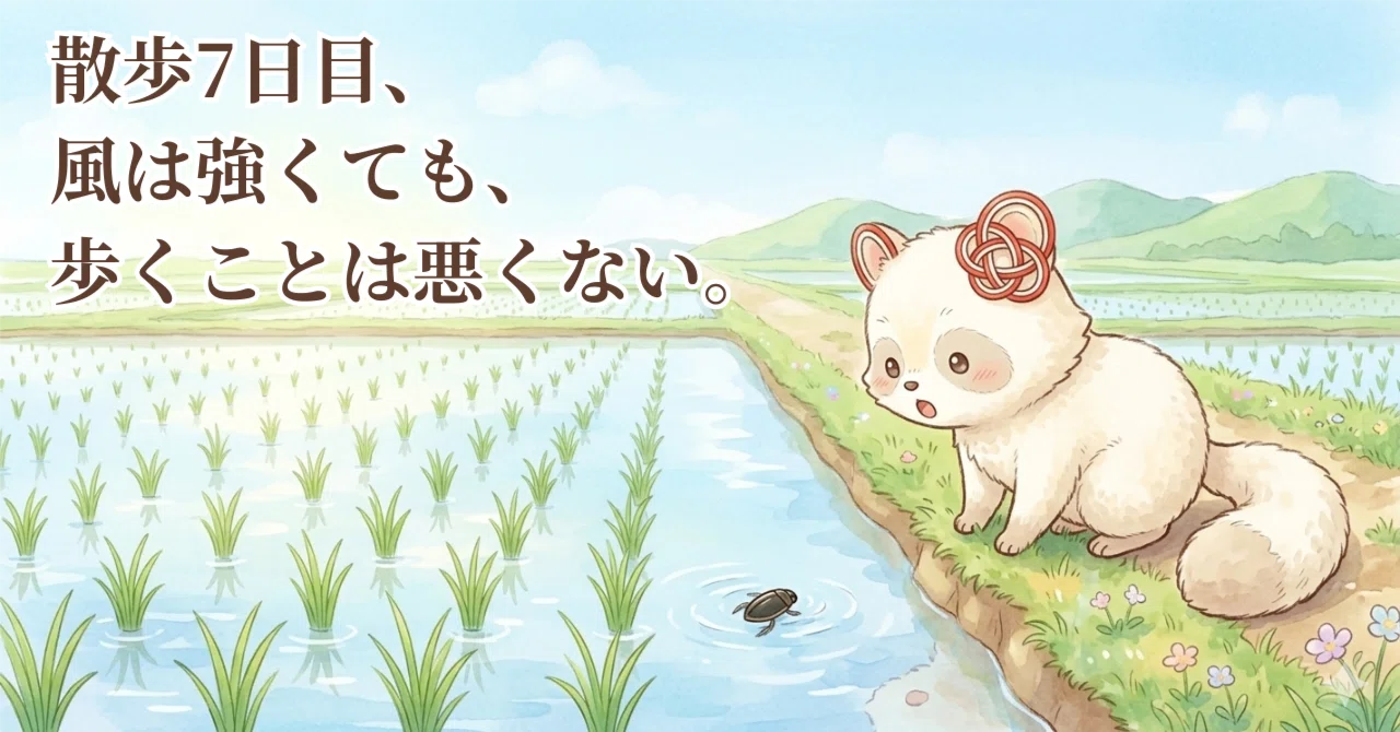 Day 7 of walking, even if the wind is strong, walking is not bad.｜結（Yui ...