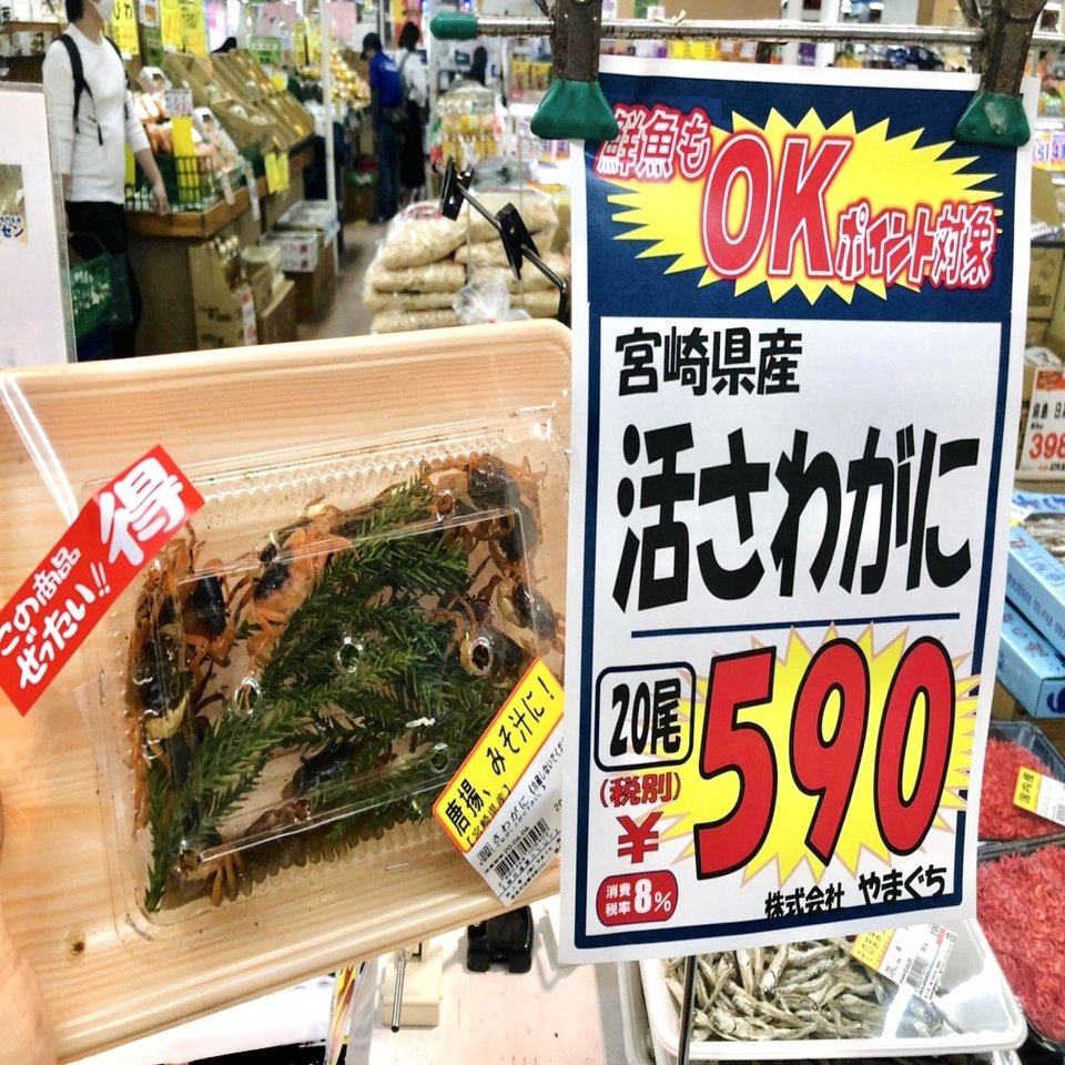 7日後に死ぬカニ しまだあや 島田彩 Note