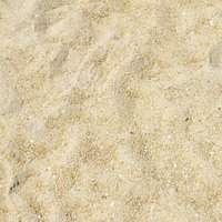 11年ぶりの新作 Static X Loost Note