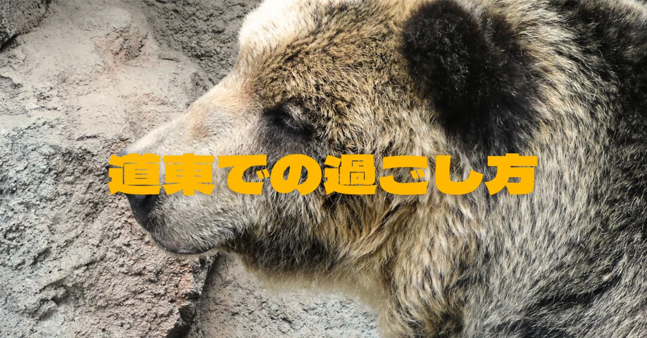 道東の自然と僕 〜週末写真家と自然との距離感〜｜🔔SUZU🔔 道東世界