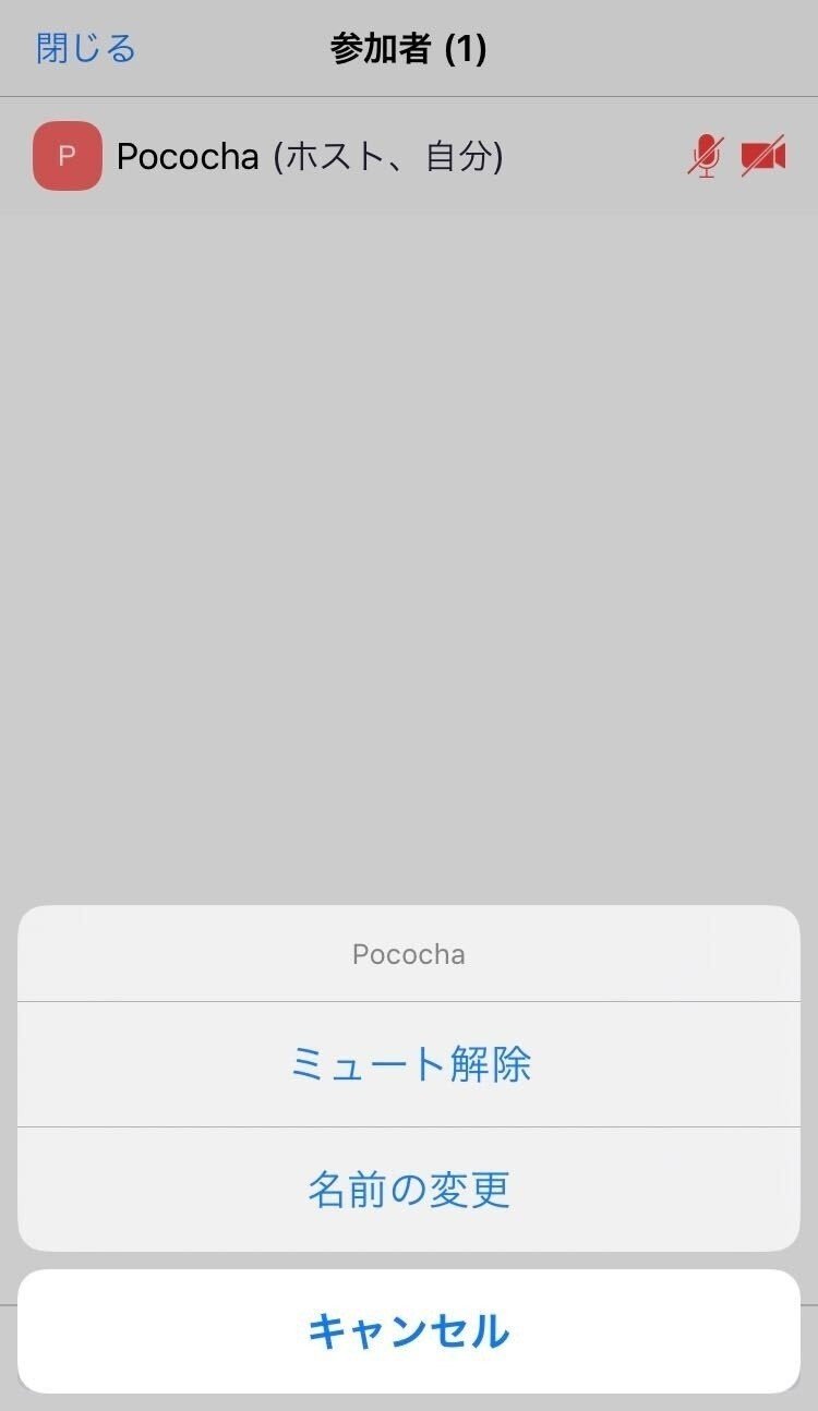 iOS の画像のコピー