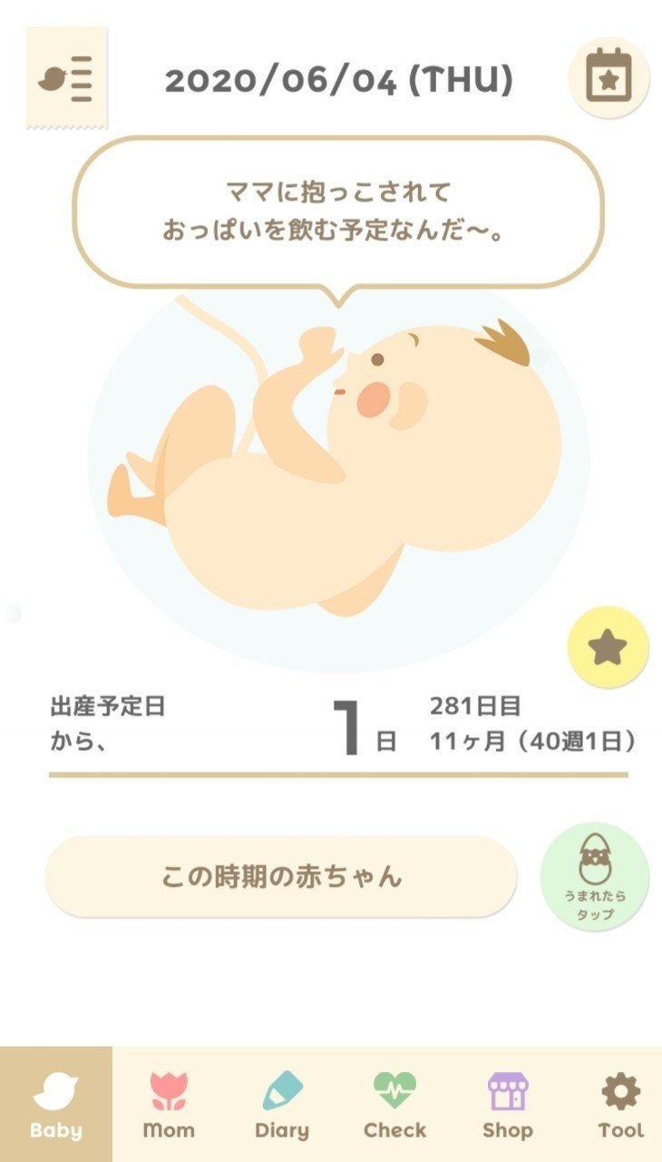 予定 日 出産