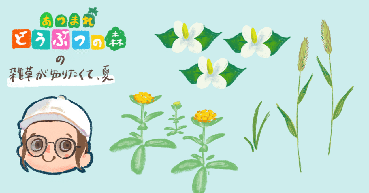 あつまれどうぶつの森の雑草が知りたくて 夏 こにたん Note あつまれどうぶつの森の雑草が知りたくて 夏 こにたん Note