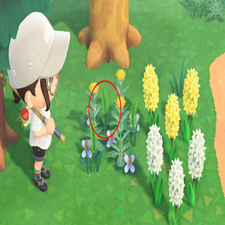 あつまれどうぶつの森の雑草が知りたくて 夏 こにたん Note