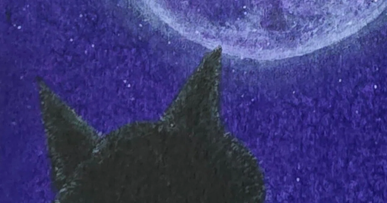躑躅月夜』～黒猫の旅シリーズ アクリル画紹介～｜絵描きのクロスケ