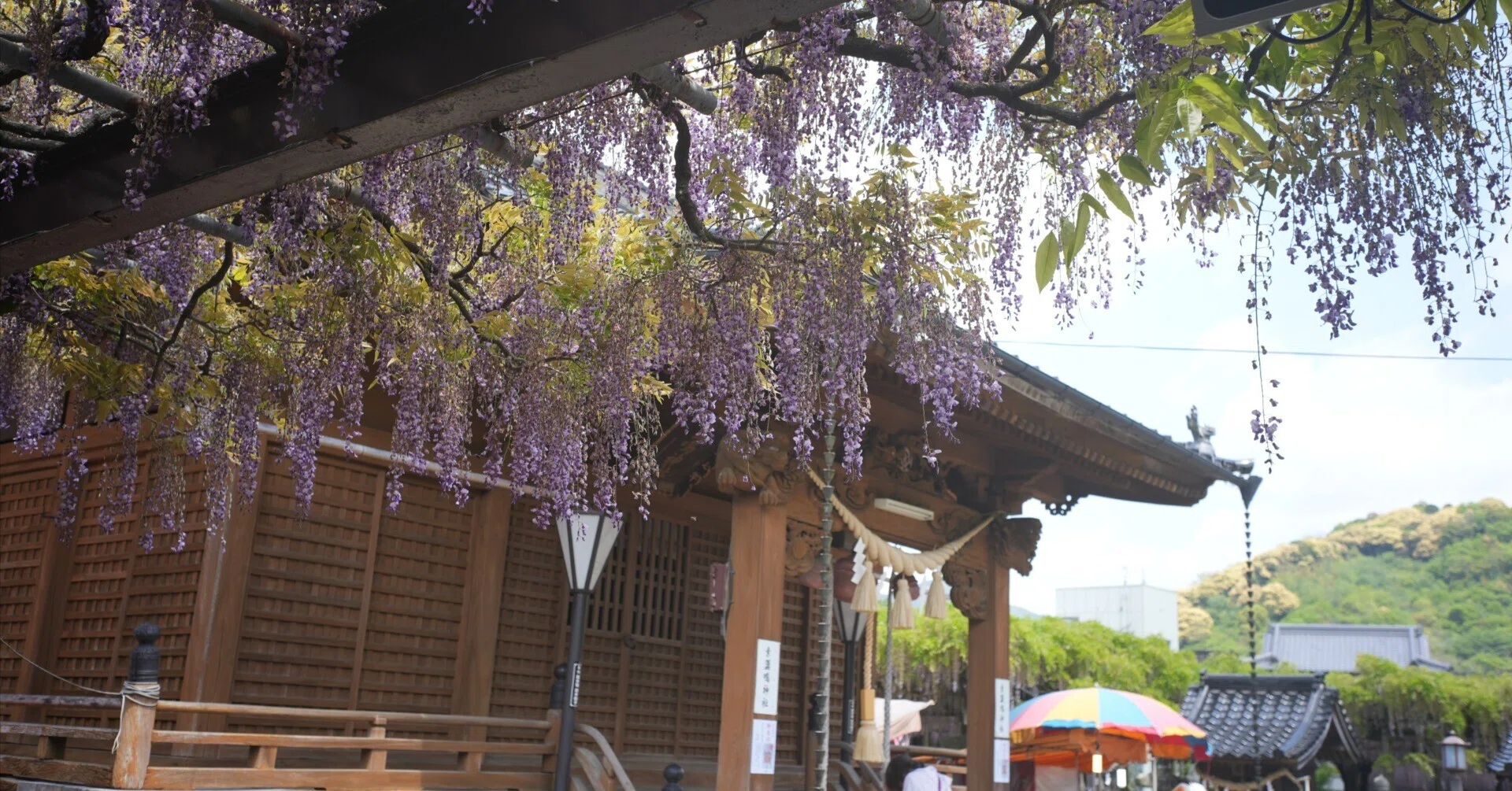 にっぽんSAKE紀行 福岡県八女 旭松 藤娘 note 104｜めづさ