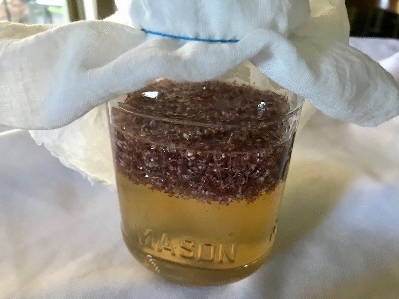 エルダーフラワーの発泡酒を仕込んでみた ヒガシリカ Note