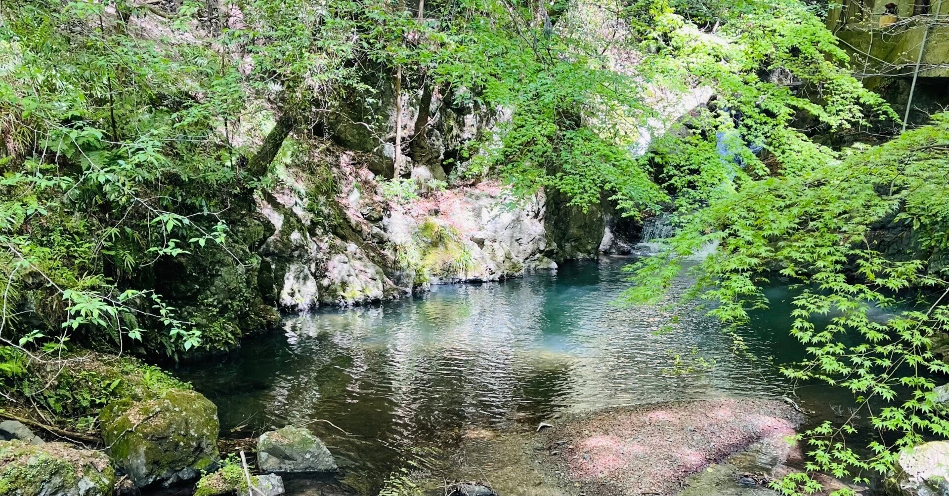 2026春の大阪旅行🐙｜chicchachan