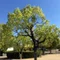 hotori