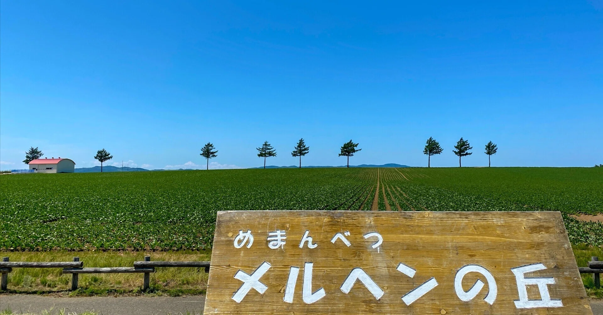 北海道・大空町】メルヘンの丘へ。空と畑と7本の木がつくる、絵本の