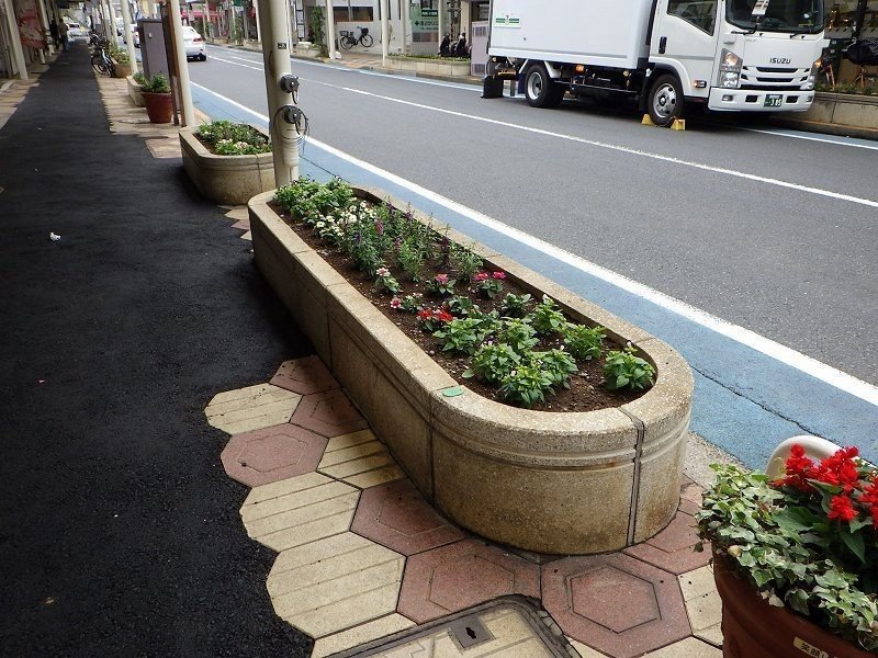 花壇植替え 小岩フラワーロード商店街 Note