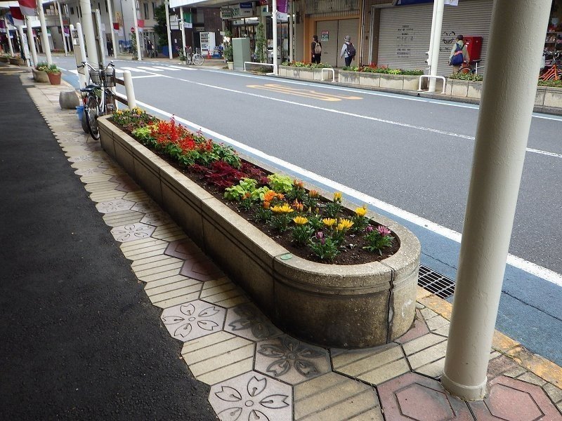 花壇植替え 小岩フラワーロード商店街 Note