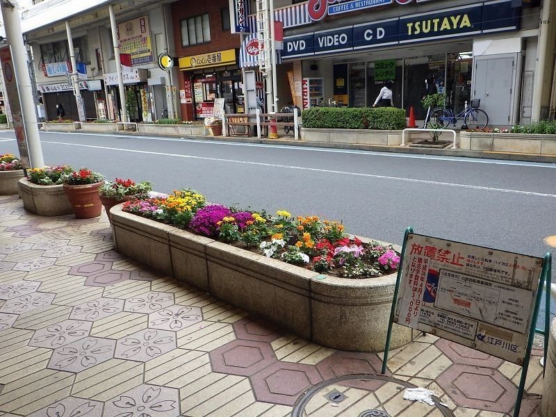 花壇植替え 小岩フラワーロード商店街 Note