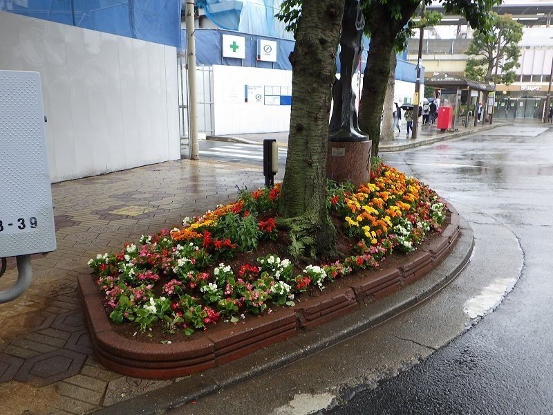 花壇植替え 小岩フラワーロード商店街 Note