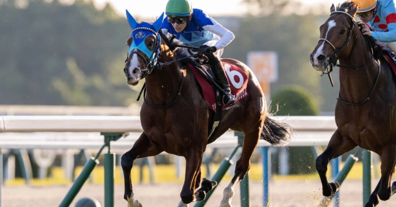 NHKマイルカップ 勝ち馬予想 #7｜Twins競馬【乃木坂・櫻坂好きな双子が