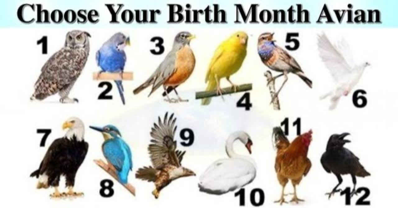 第1064回 誕生月の鳥言葉(5〜8月)｜翆野 大地