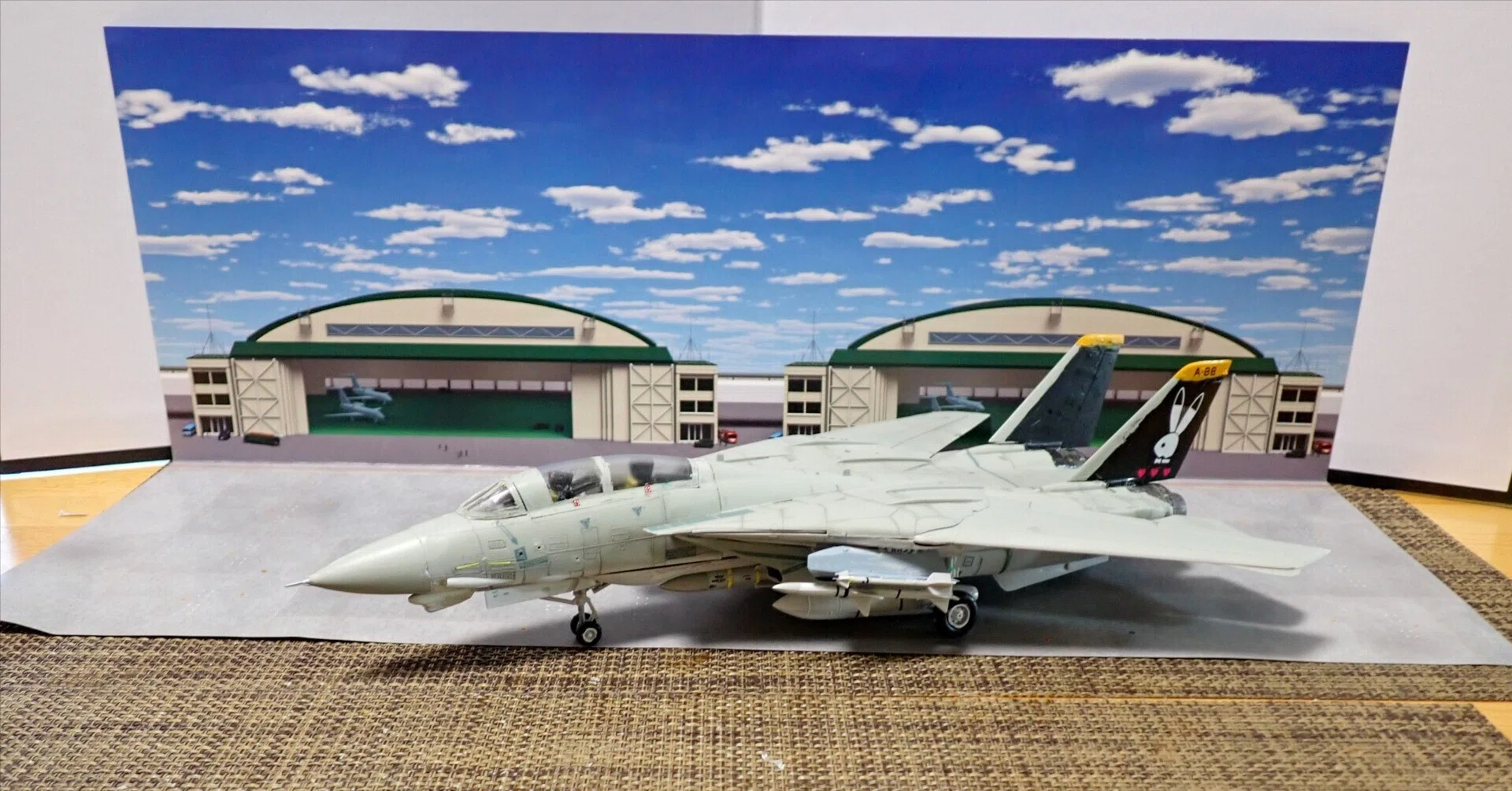1／72 ハセガワ F14トムキャット エリア88 ミッキー．サイモン