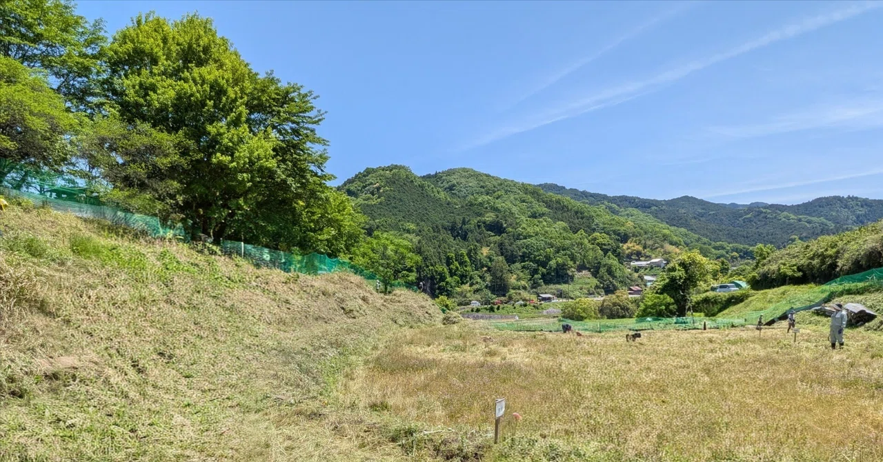 田んぼ始めます 田んぼ、はじめました。 (コミックエッセイの森) | とびやあい |本