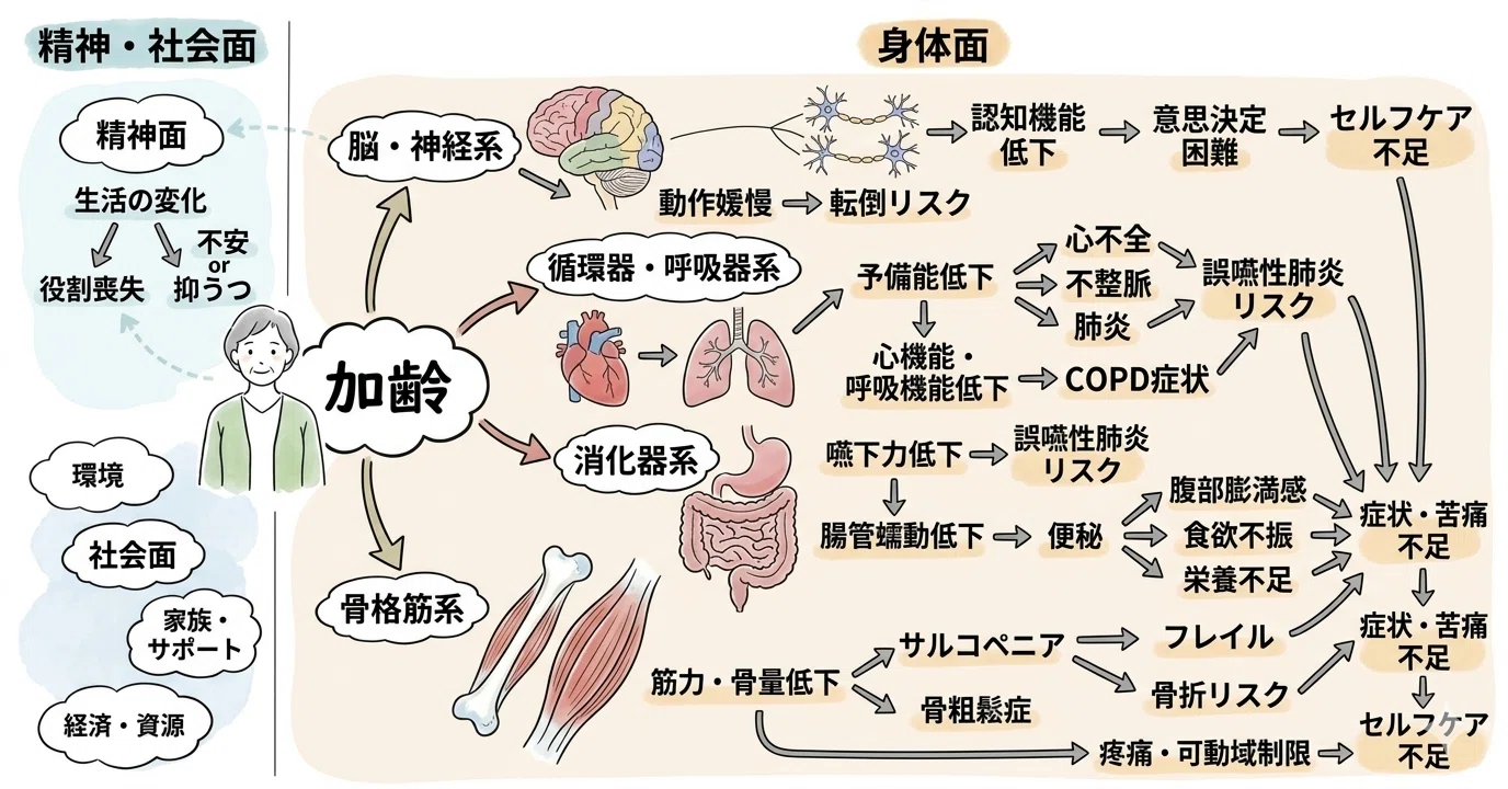 看護実習】関連図で迷子になるあなたへ。右側7割を「身体面」に