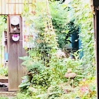 菅野彰