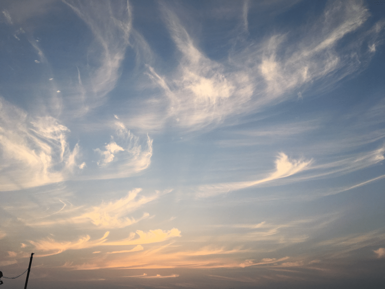 黄昏てるつもりでも Fujicco Note