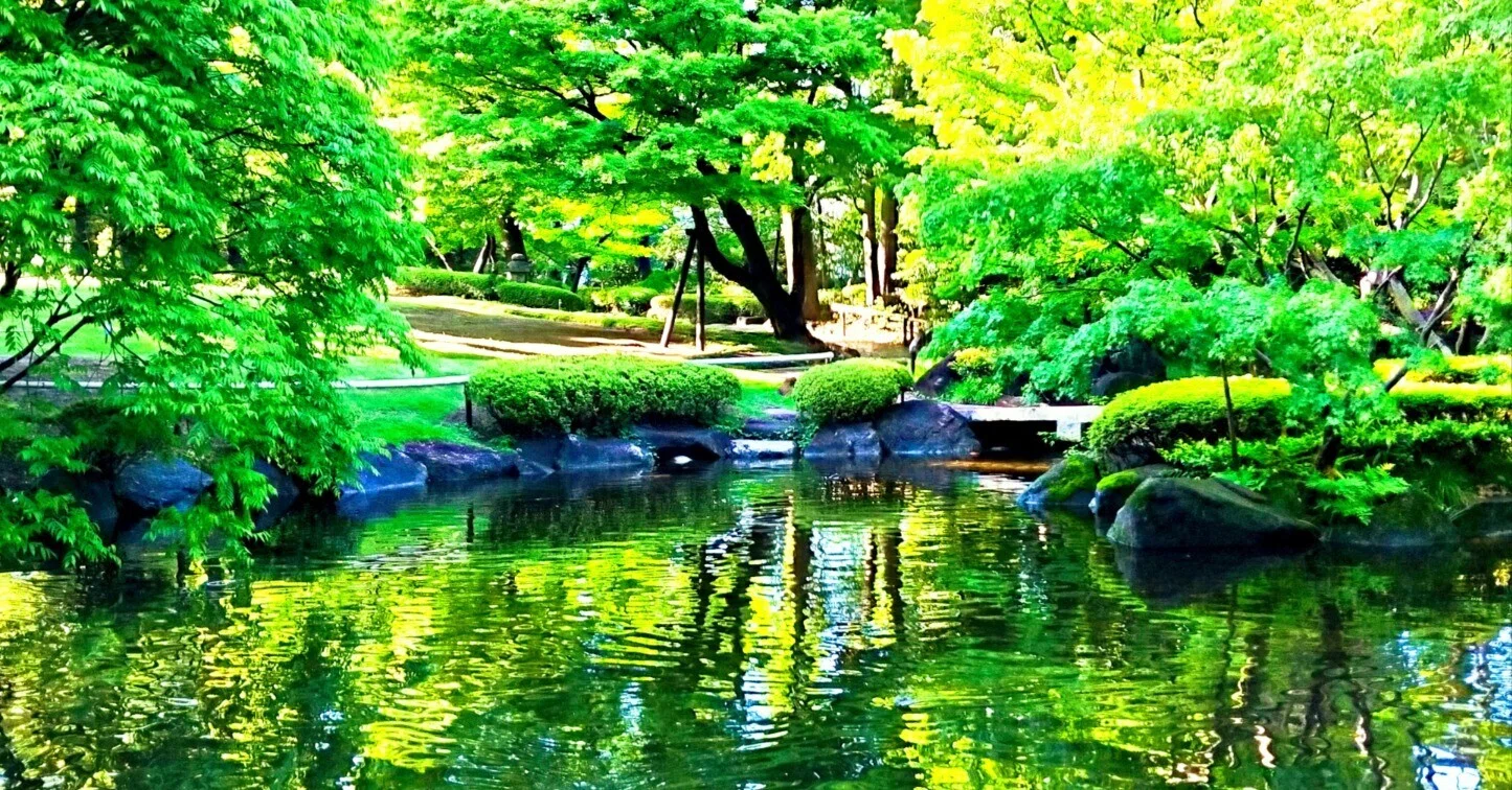 新緑が揺れる水面 雨上がりの5月の庭園を歩く｜椿みきこ🌸季節の花ごよみ