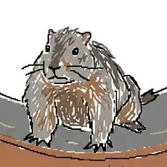 まりも