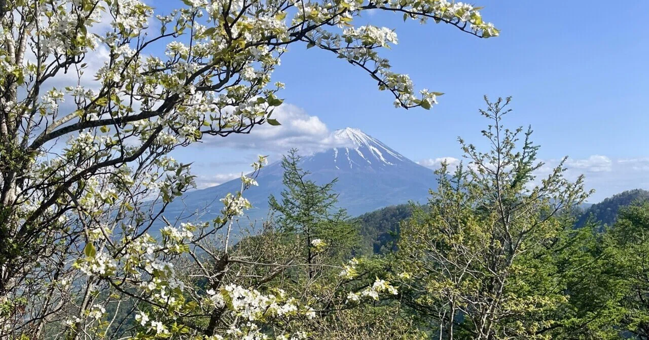富士の裾野も湖も。景色も鎖も楽しもう【十二ヶ岳〜節刀ヶ岳】｜serico