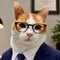 El hombre gato