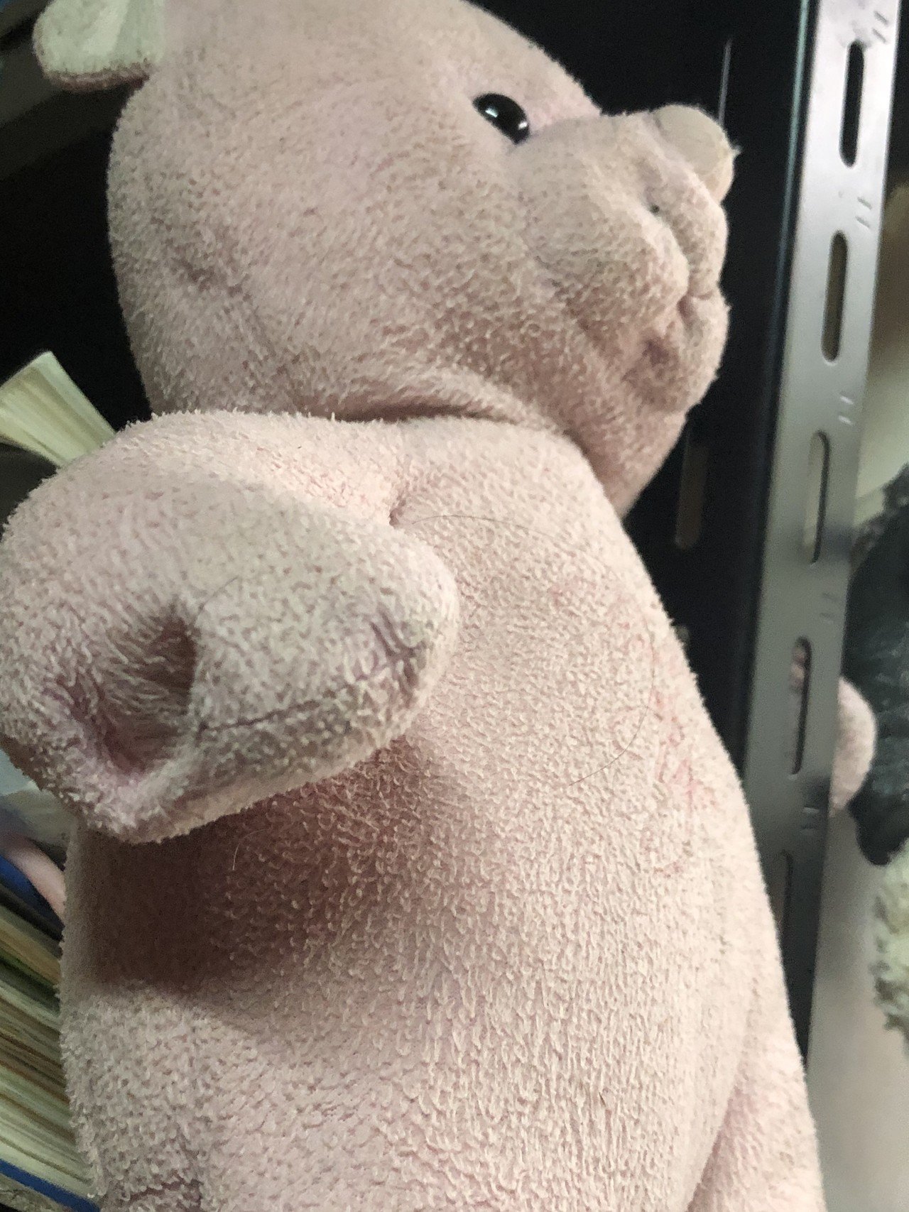 威厳を感じるくまのぬいぐるみ くまさん 麦食くま Note 威厳を感じるくまのぬいぐるみ くまさん 麦食くま Note