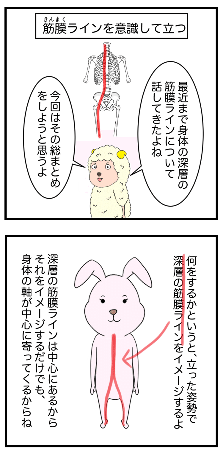 膜 リリース ためして ガッテン 筋