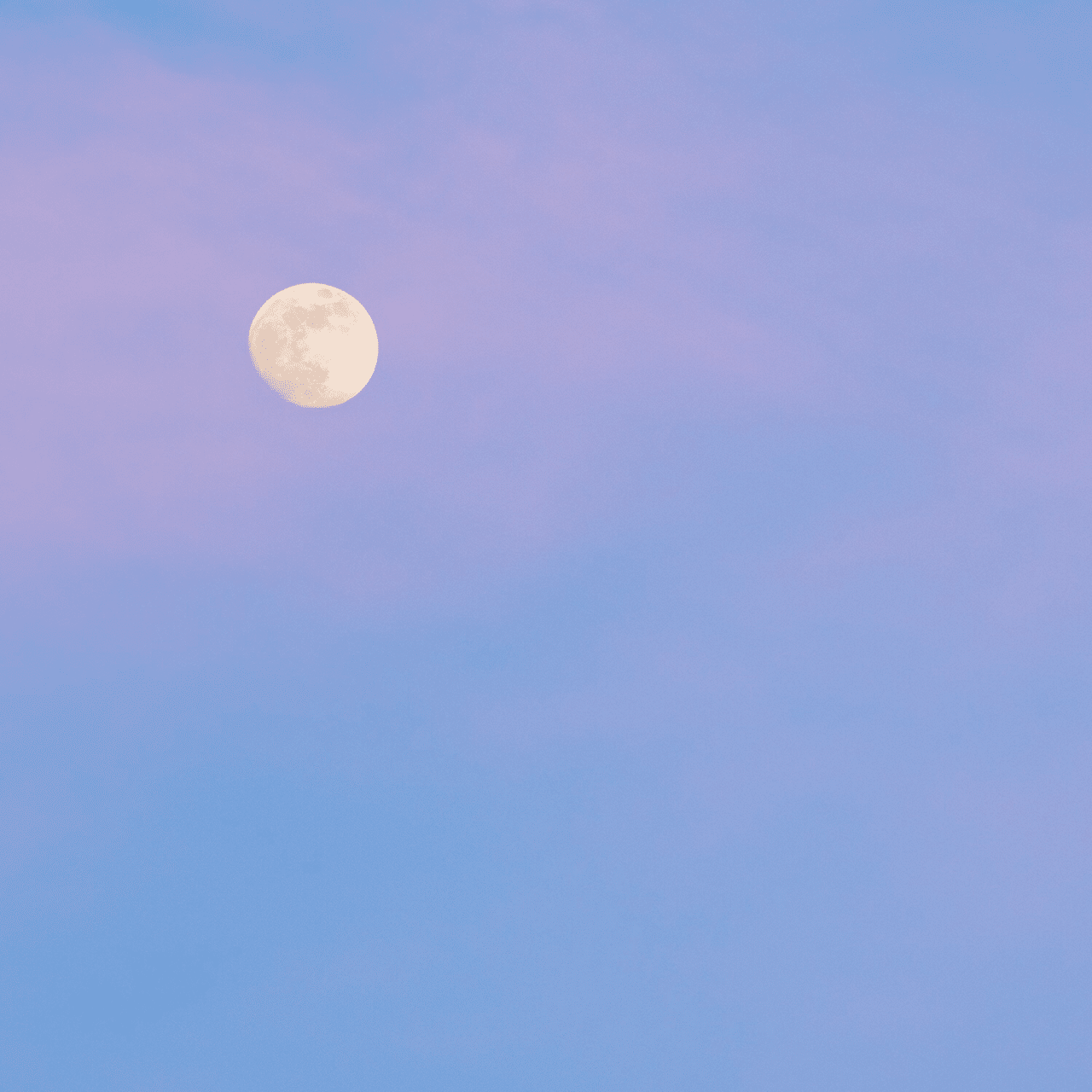 今日の夕方 𝚖𝚊𝚘 𝚗𝚊𝚔𝚊𝚣𝚊𝚠𝚊 Note