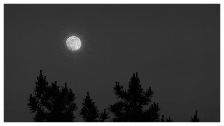 ぼんやりとした月。霞がかった夕方でした