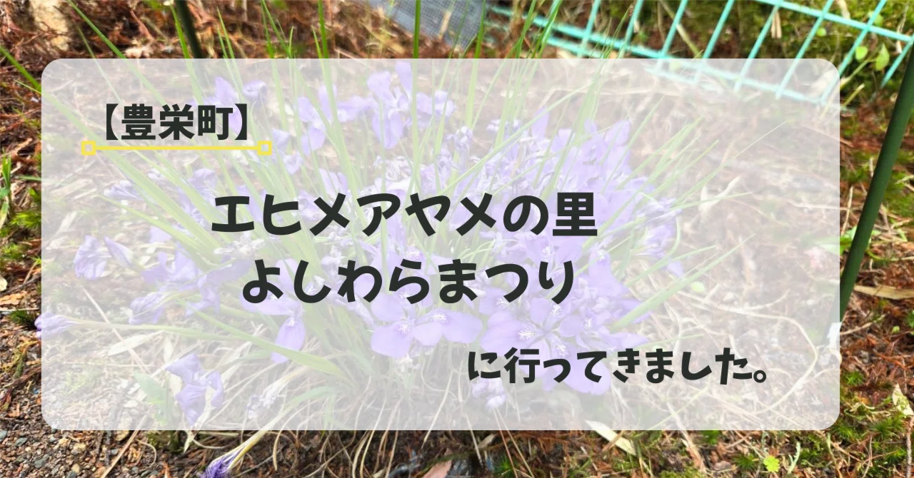 エヒメアヤメの里 よしわらまつり