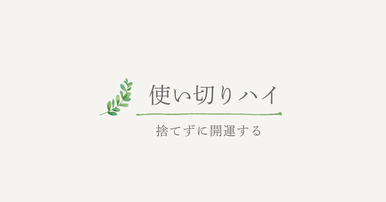 見出し画像