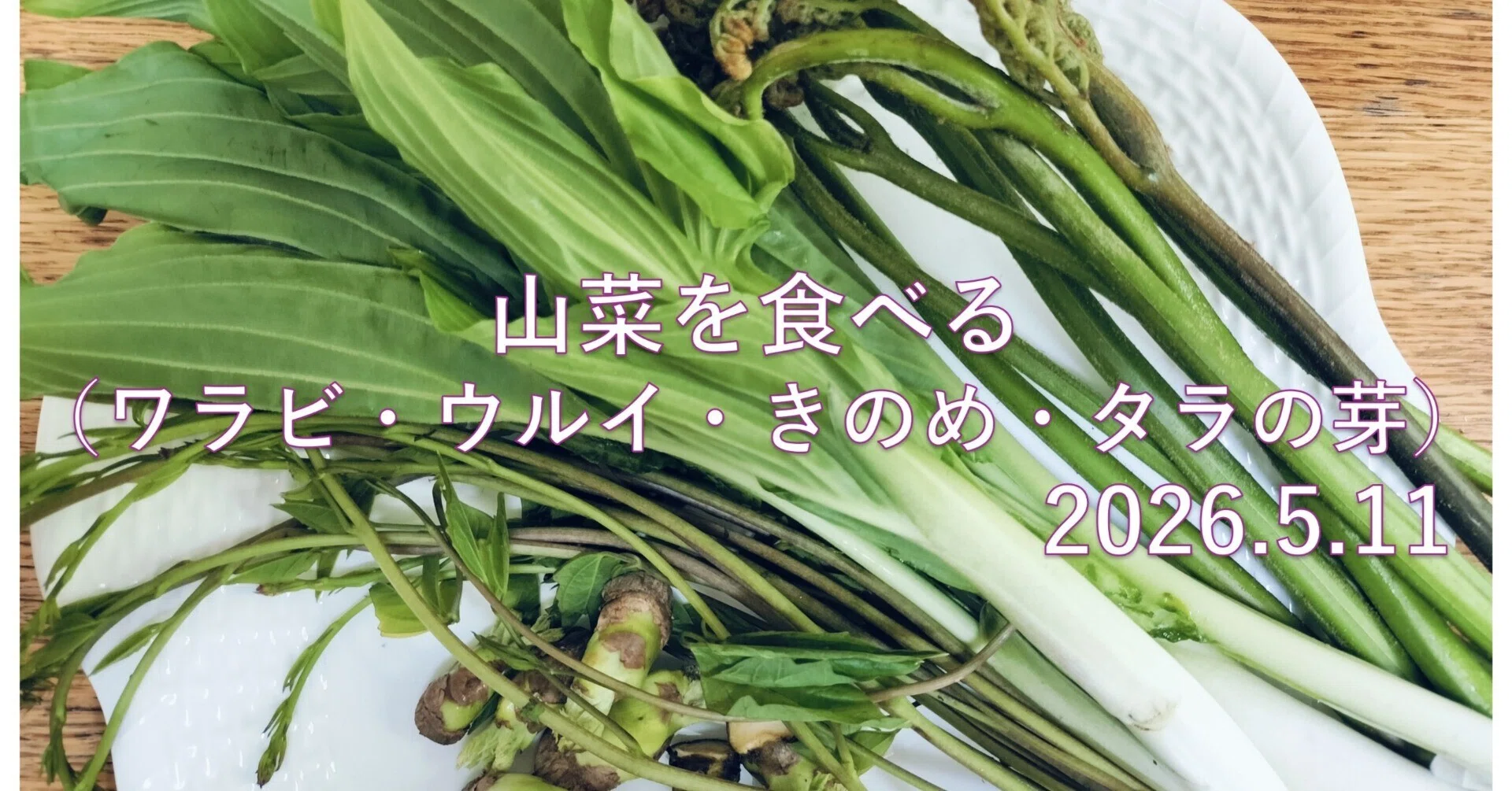 野草食☆山菜（ワラビ・ウルイ・きのめ・タラの芽）を食べる～煮物など 