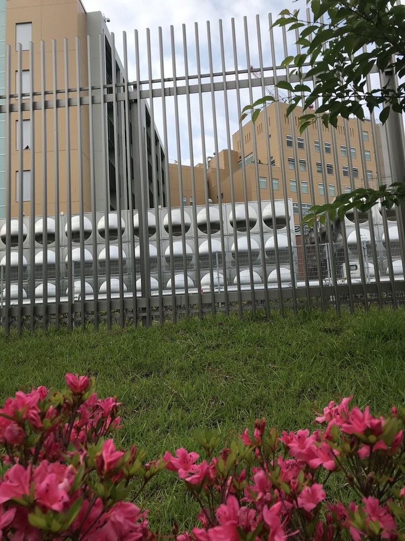 大阪佰番 其の八 訳有り物件を繁盛地に変えたワケ 千日前 Arashi09 Note 大阪佰番 其の八 訳有り物件を繁盛地に変えたワケ 千日前 Arashi09 Note