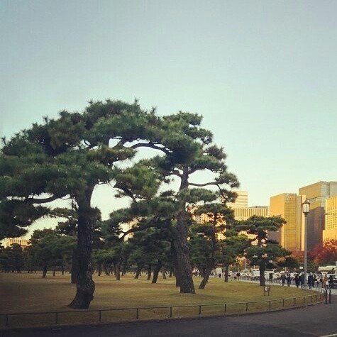 いつかの桜田門周辺