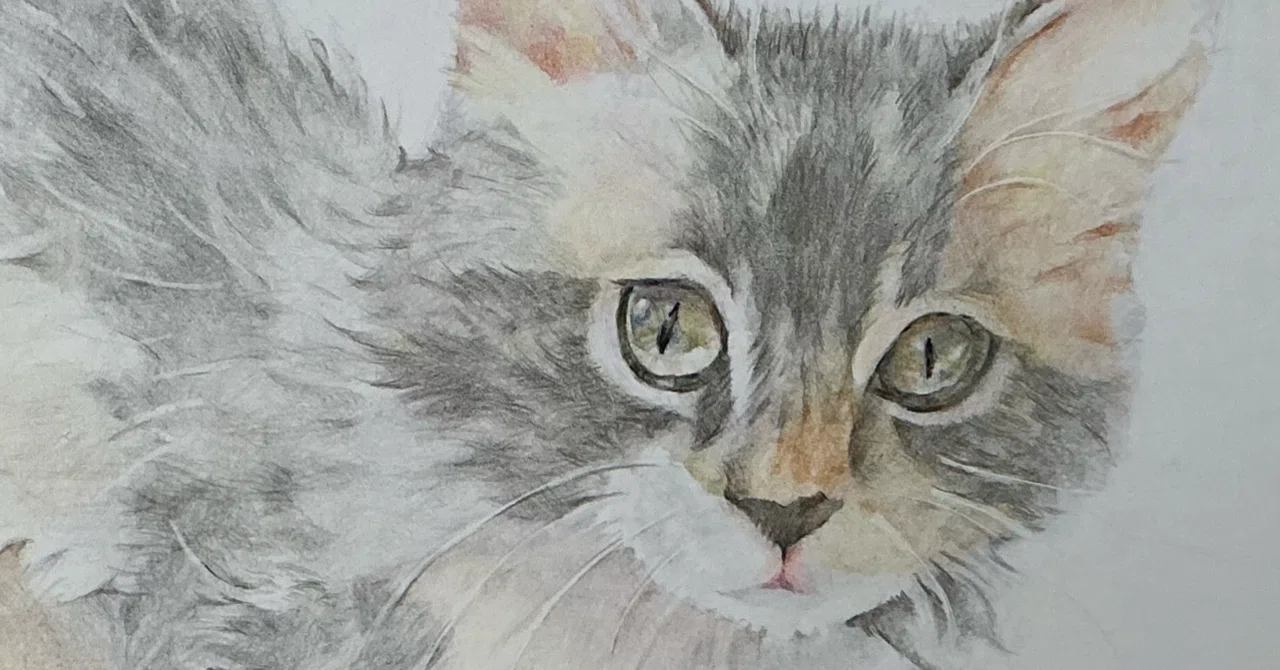 珀の鉛筆画　動物画　猫　　A3サイズ個展 作品紹介】講師😸猫の鉛筆画（デッサン）4点🐈🐈‍⬛ | 北野田絵画教室